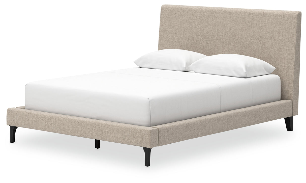 Cielden Queen Upholstered Bed with Roll Slats (Bed Size: Queen)