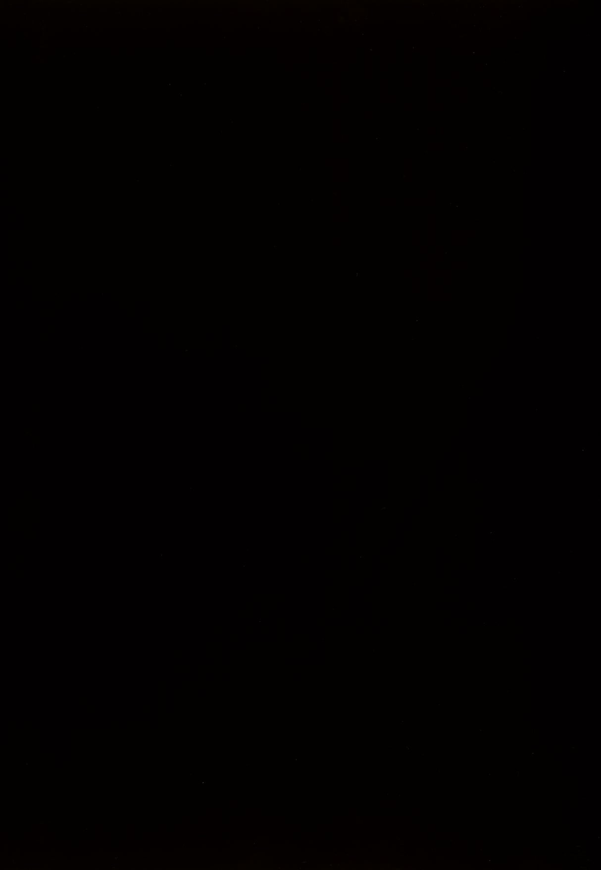 Kimonte Dining Table