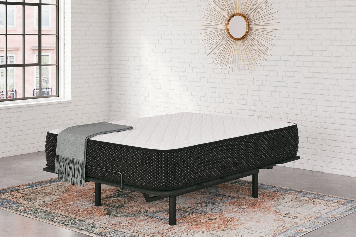 Limited Edition Firm Queen Mattress (Bed Size: Twin XL)