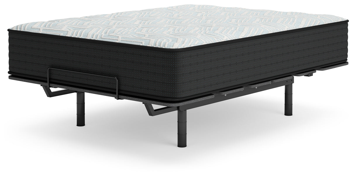 Palisades Firm California King Mattress (Variation Bed Size: California King)