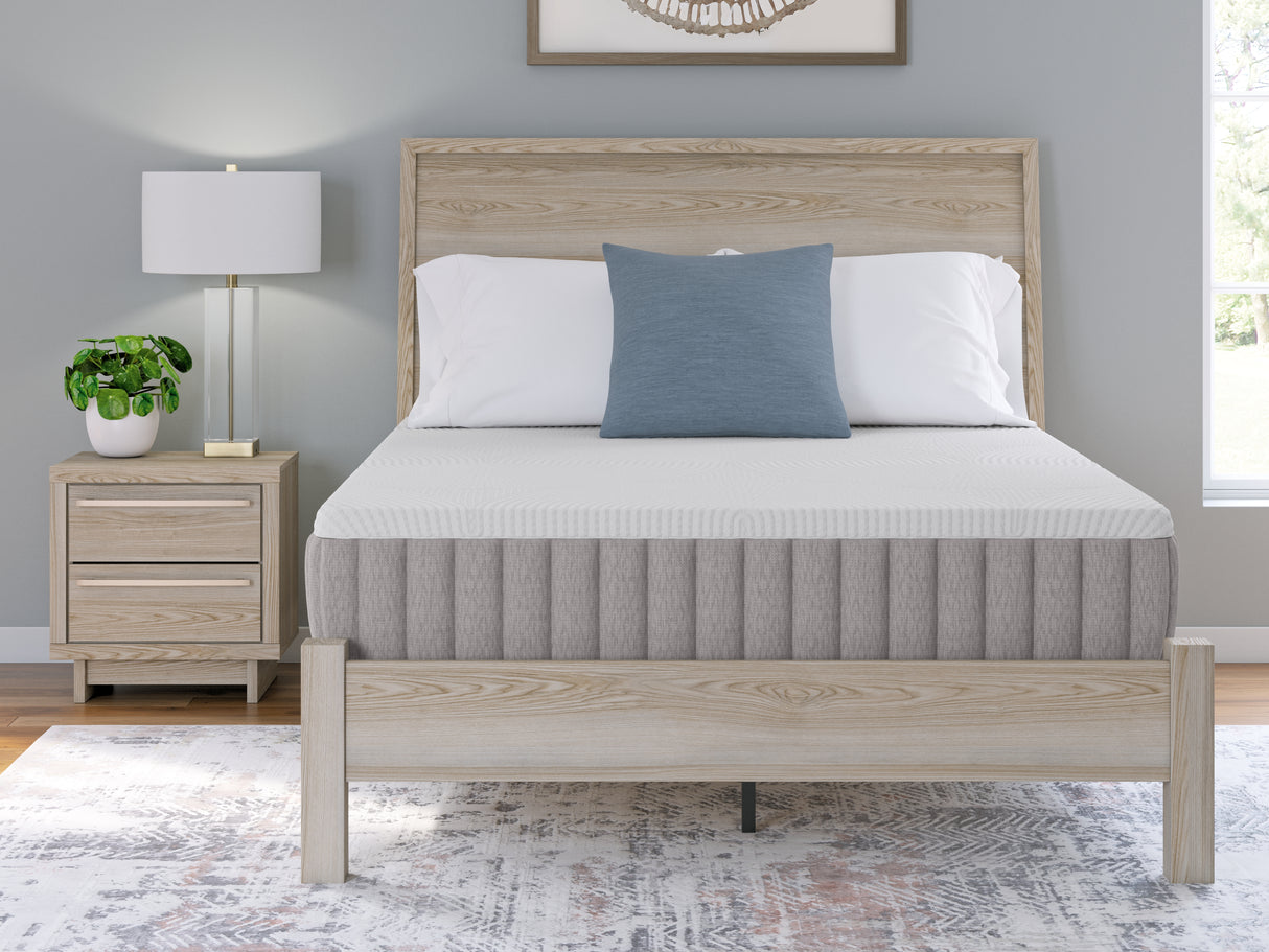 Terra Sleep Firm Queen Mattress (Bed Size: California King)