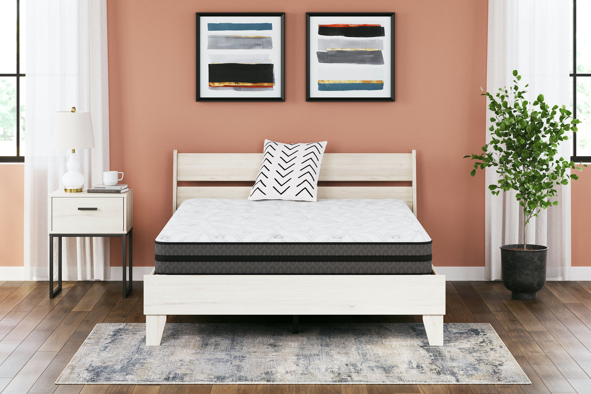 10 Inch Pocketed Hybrid Twin Mattress (Bed Size: California King)