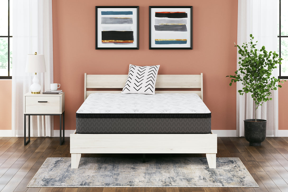 12 Inch Pocketed Hybrid California King Mattress (Variation Bed Size: California King)