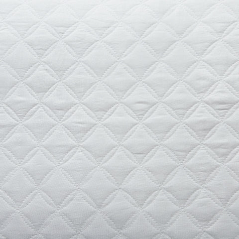 Ryter Twin Coverlet Set