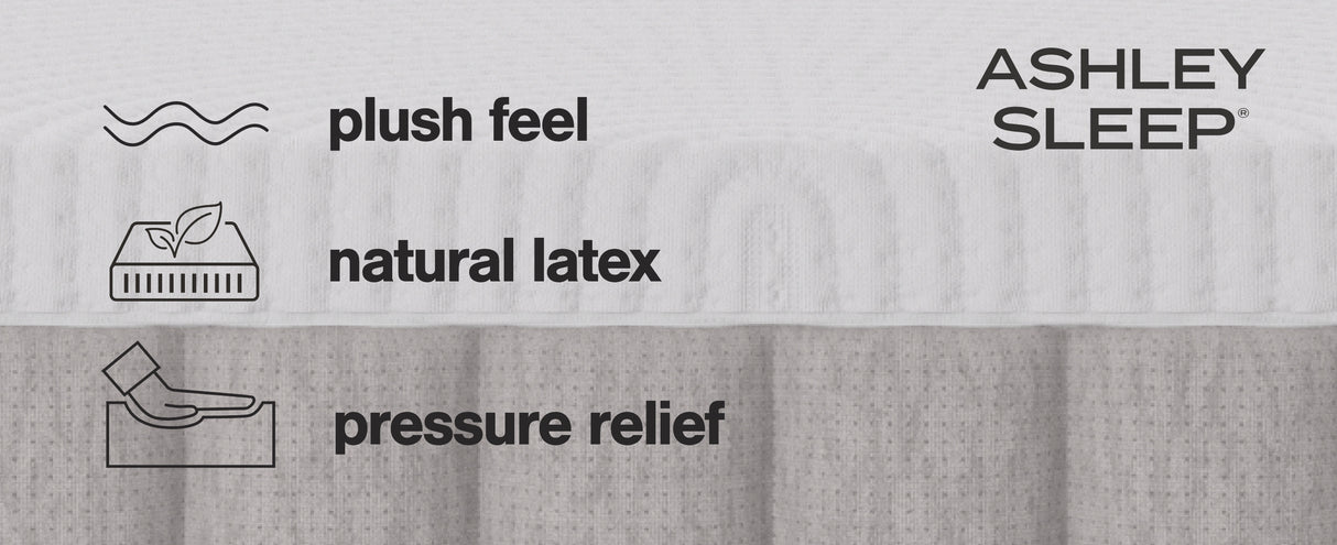 Terra Sleep Soft Queen Mattress (Bed Size: California King)