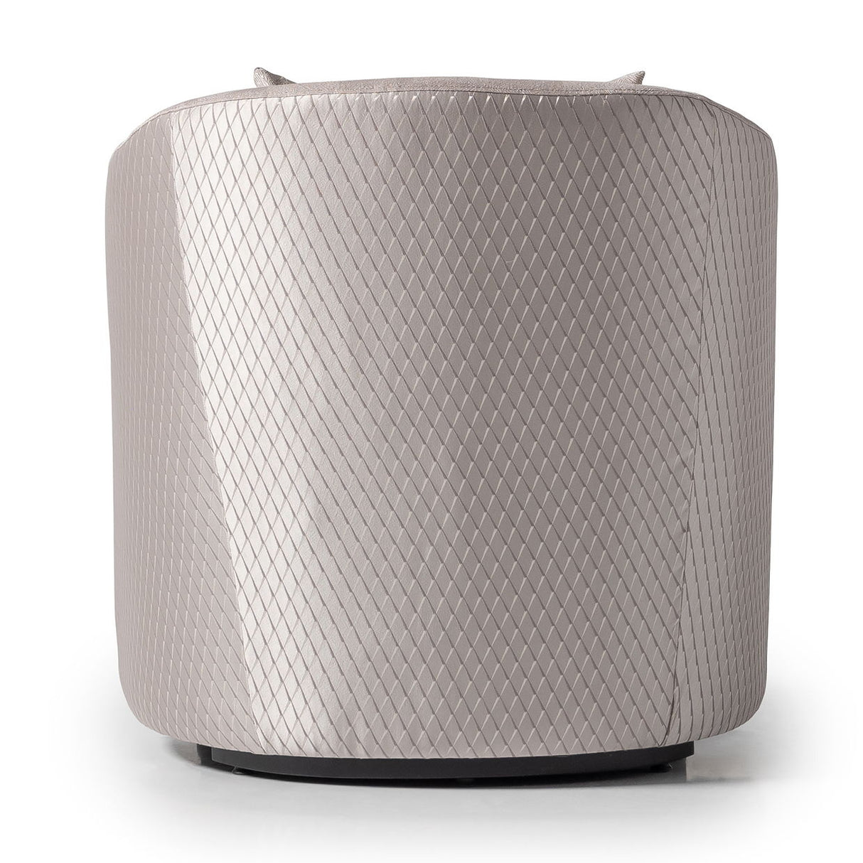 Carmela - Accent Chair - Zinc/Silver