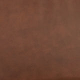 Puckman Accent Chair (Color: Brown/Silver Finish)