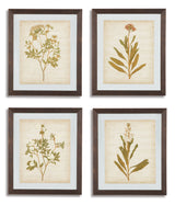 Dyani Wall Art (Set of 4)