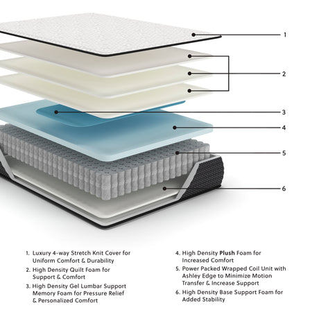 Limited Edition Plush Twin XL Mattress (Variation Bed Size: Twin XL)