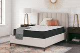 Limited Edition Firm Queen Mattress (Variation Bed Size: Queen)