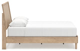 Cielden Queen Panel Bed (Bed Size: Queen)