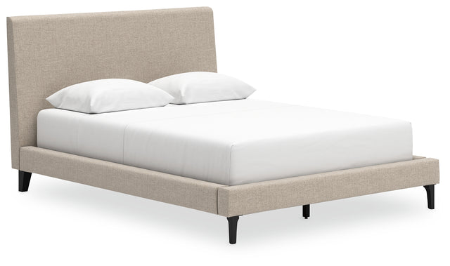 Cielden Queen Upholstered Bed with Roll Slats (Bed Size: Queen)