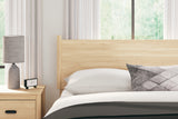 Cabinella Queen Panel Headboard (Variation Bed Size: Queen)