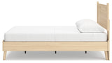 Cabinella Queen Platform Panel Bed (Variation Bed Size: Queen)