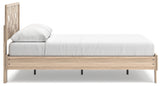 Battelle Queen Panel Platform Bed (Variation Bed Size: Queen)