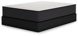 Limited Edition Firm Queen Mattress (Bed Size: California King)