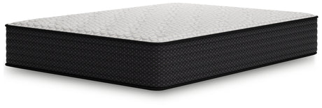 Limited Edition Plush Full Mattress (Variation Bed Size: Full)