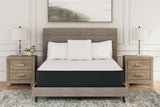 Limited Edition Plush Twin XL Mattress (Variation Bed Size: Twin XL)