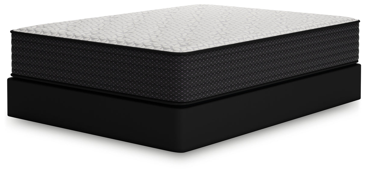 Limited Edition Plush Queen Mattress (Variation Bed Size: Queen)