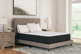 Limited Edition Plush Twin XL Mattress (Variation Bed Size: Twin XL)