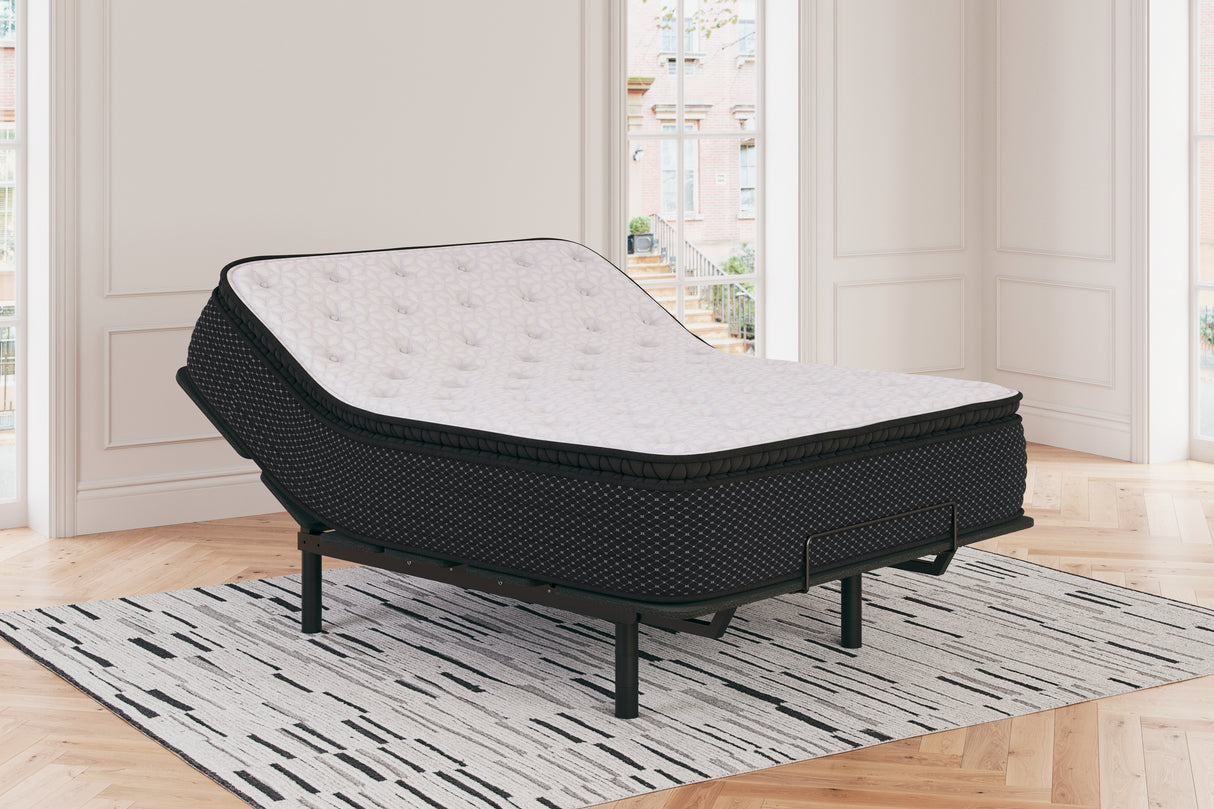 Limited Edition PT California King Mattress (Variation Bed Size: California King)