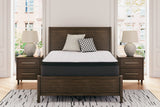 Limited Edition PT California King Mattress (Variation Bed Size: California King)