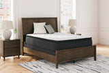 Limited Edition PT California King Mattress (Variation Bed Size: California King)