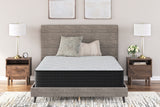 Palisades Plush Queen Mattress (Bed Size: California King)
