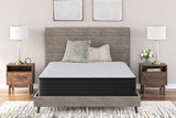 Palisades Plush California King Mattress (Variation Bed Size: California King)