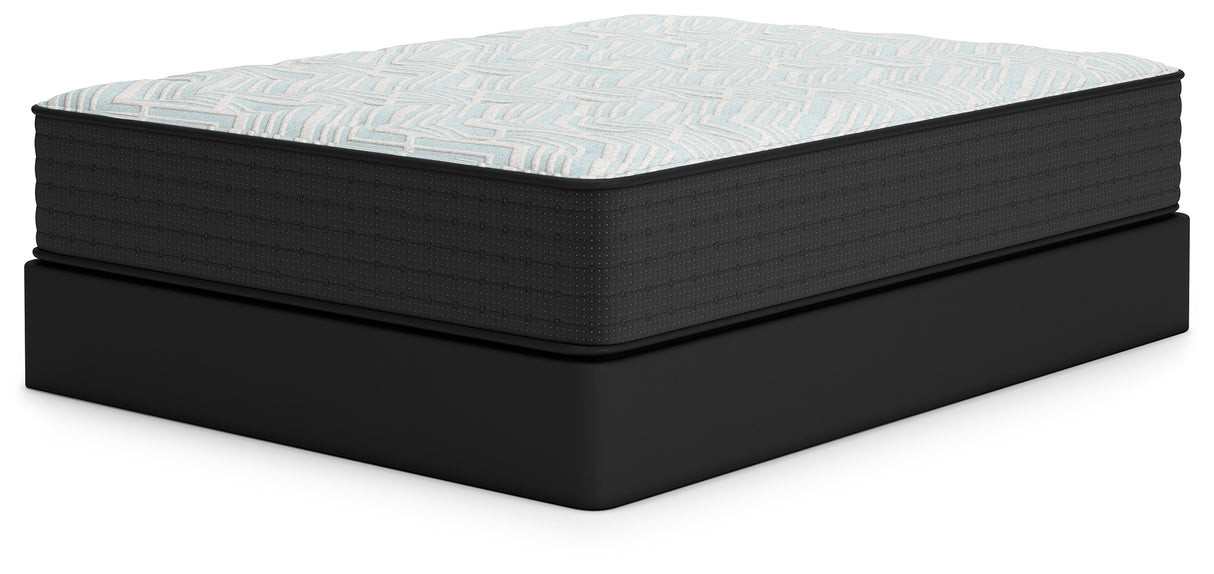 Palisades Plush Queen Mattress (Variation Bed Size: Queen)