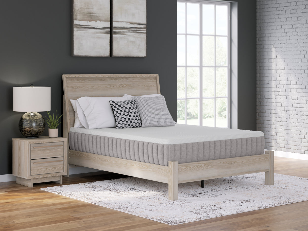 Terra Sleep Medium Queen Mattress (Bed Size: California King)