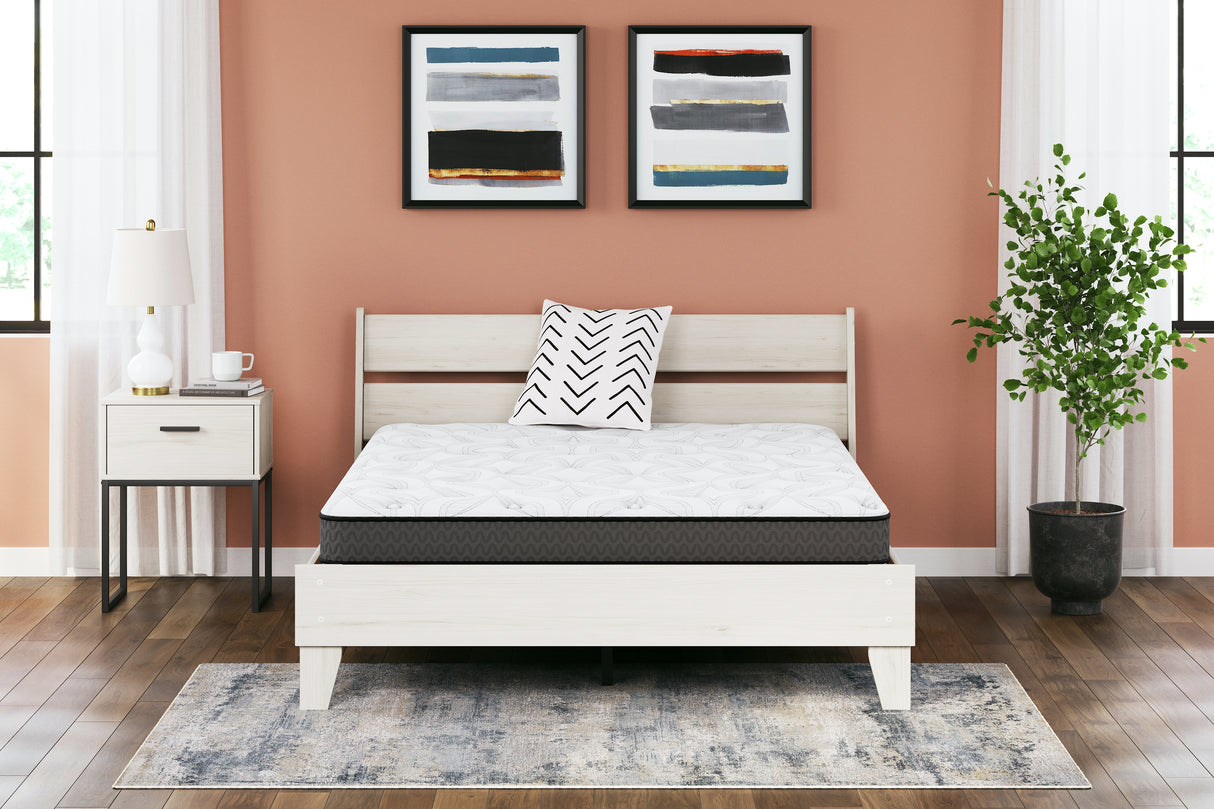 8 Inch Bonnell Hybrid Queen Mattress (Variation Bed Size: Queen)