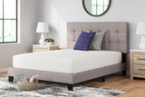 Chime 12 Inch Memory Foam Queen Mattress in a Box (Bed Size: Queen)