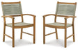 Janiyah Outdoor Dining Arm Chair (Set of 2)