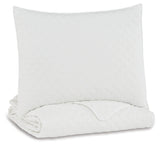 Ryter Twin Coverlet Set