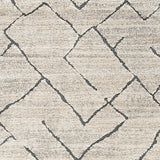 Ashbertly 7'10" x 9'10" Rug (Variation Rug Size: 8' x 10')