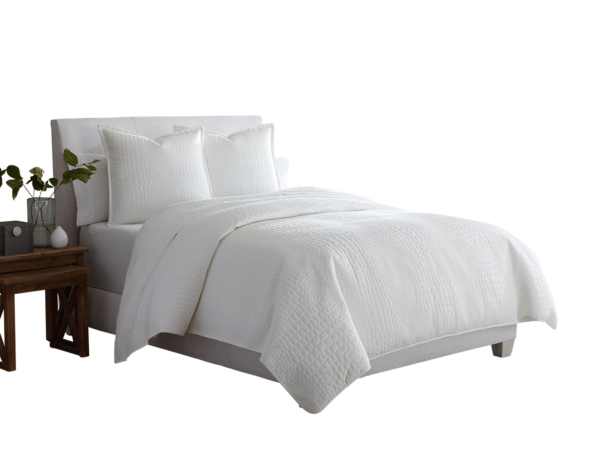 Ashworth - Coverlet Set